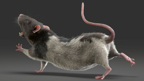 Rat Fur Rigged Spotted