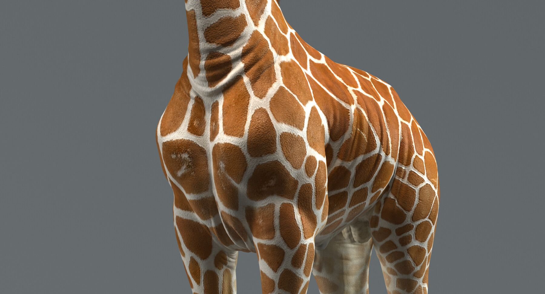Мод на жирафа. Жираф 3д. Жираф 3д модель. Жираф Джованни. Жираф 3д акрилом.