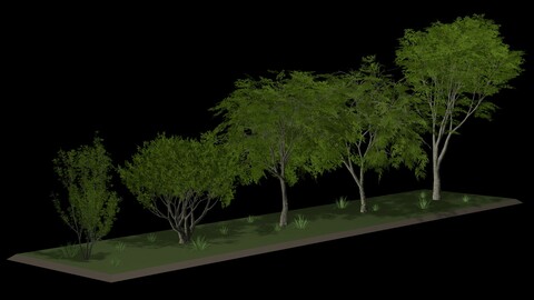 Five low poly trees