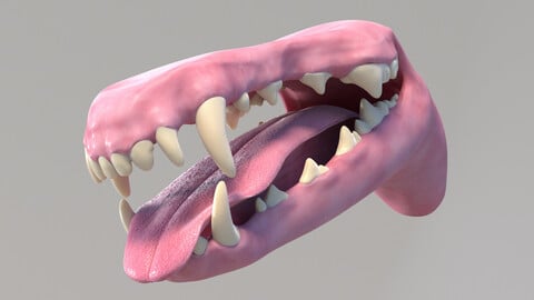 Dog Mouth
