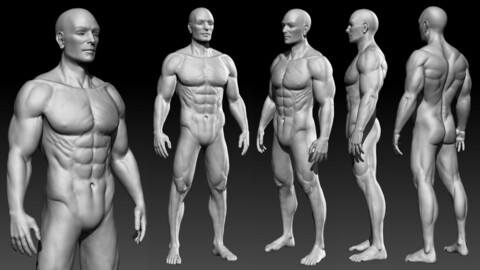 Realistic man basemesh