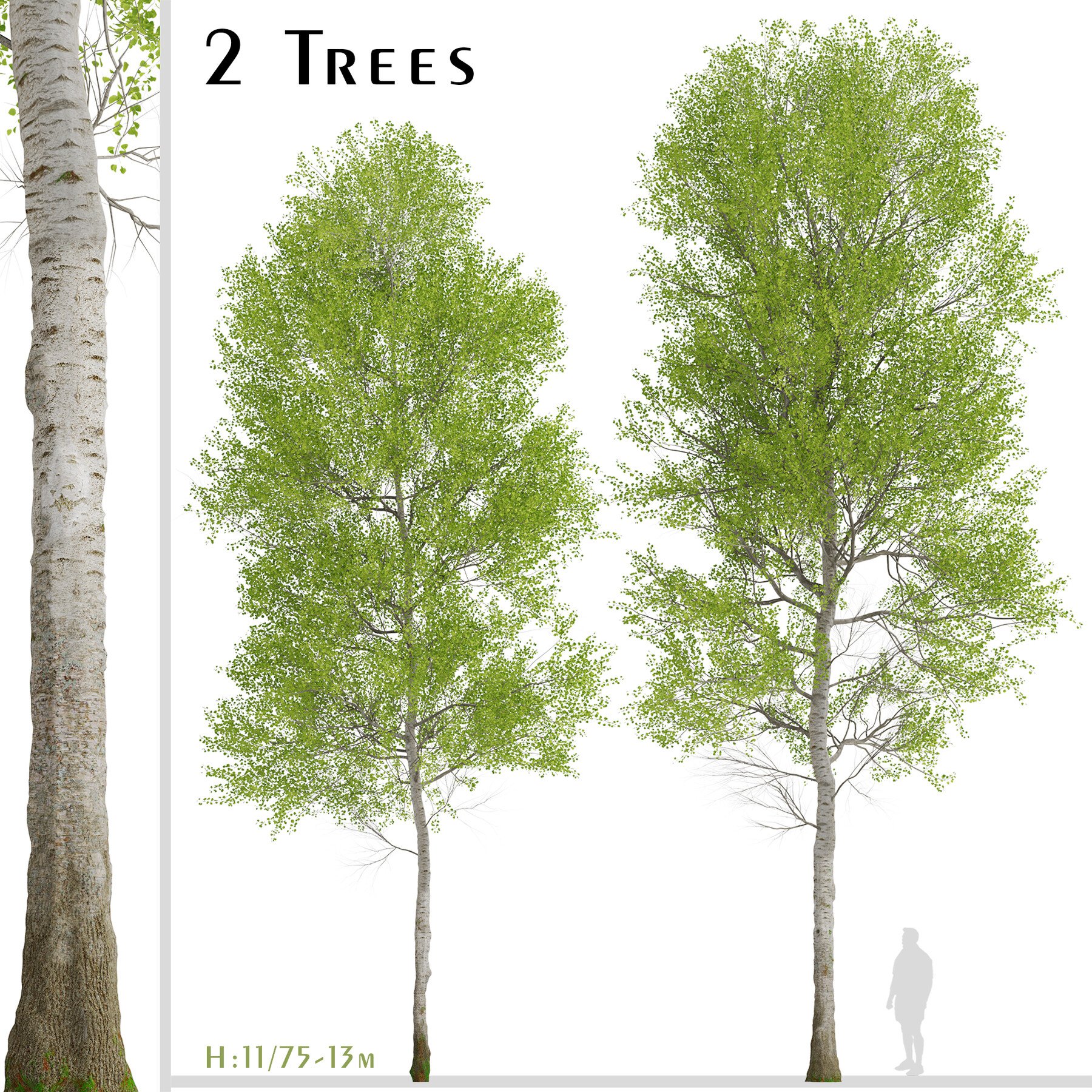Aspen Trees модель