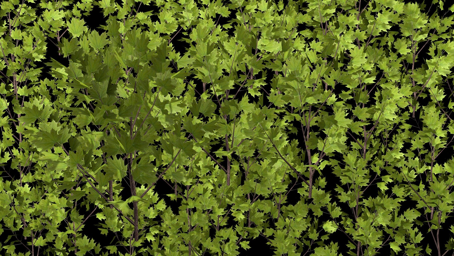 ArtStation - Maple branch | Resources
