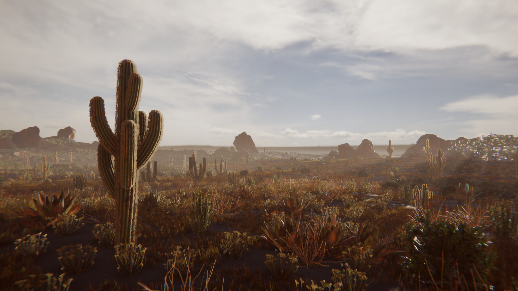 ArtStation - Mexican Desert (Unity Package) | Game Assets
