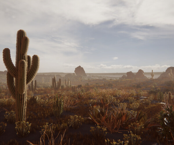 ArtStation - Mexican Desert (Unity Package) | Game Assets