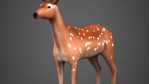 Low poly Deer 3D Model