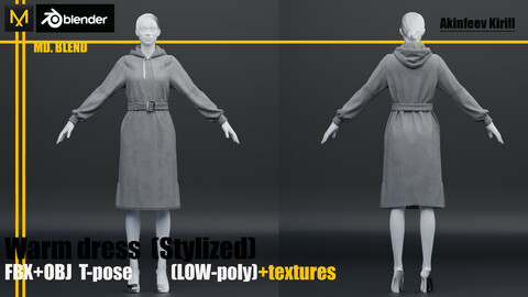 Warm dress LOW-poly