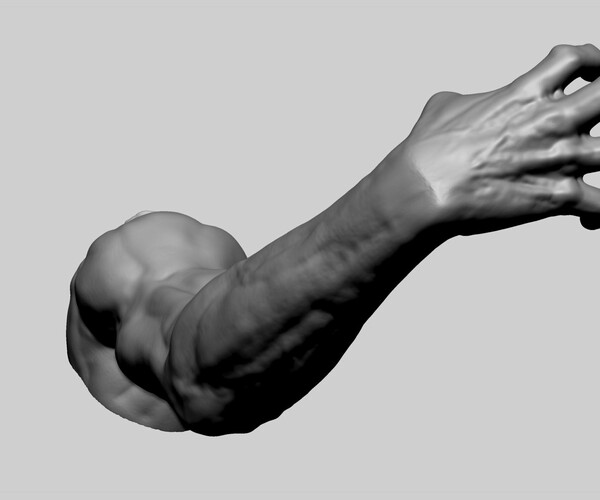ArtStation - Human Arm | Resources