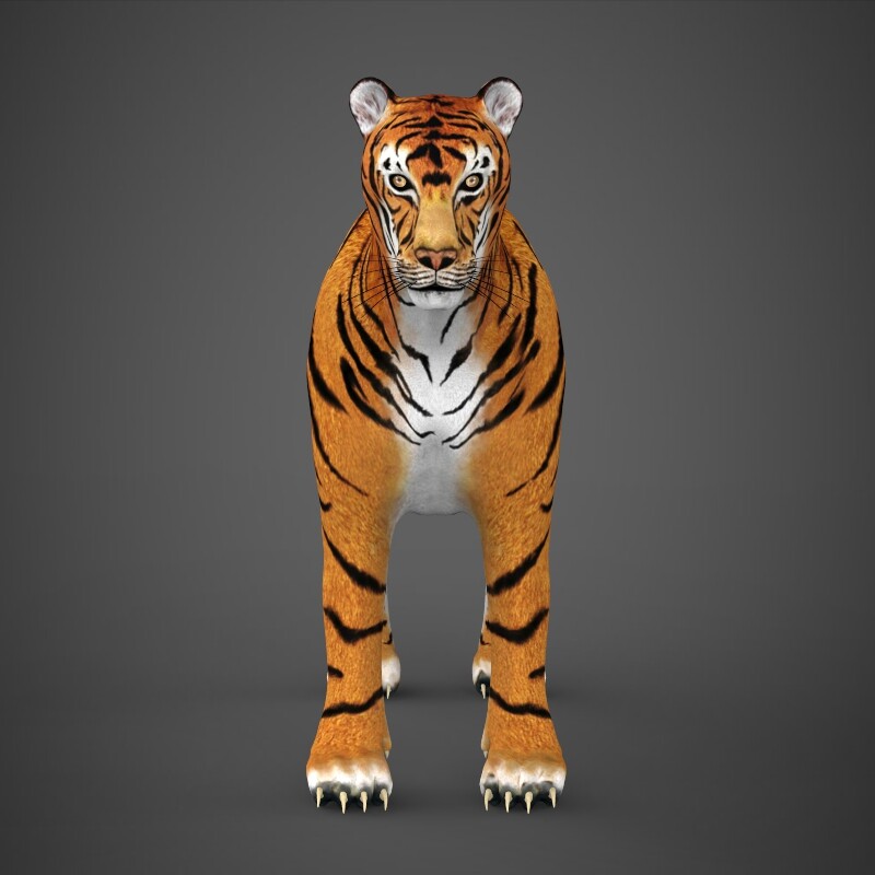 Realistic Tiger 3d Model