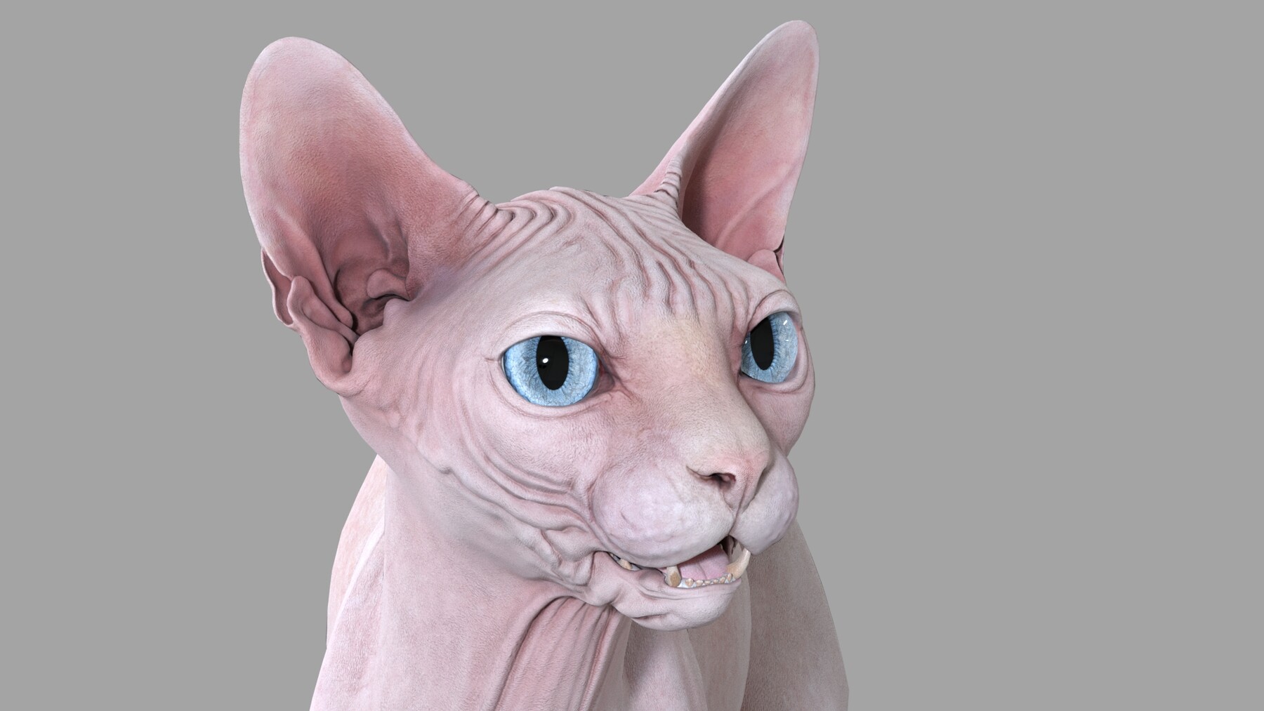 ArtStation - Sphynx Cat Pink Standing Pose | Resources