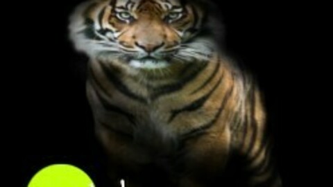 Royal tiger digital painting png - single