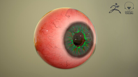 Realistic Eye Model