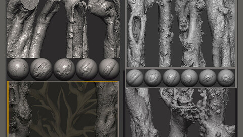 Z brush - Trunk Detail Brushes 4 Volumes