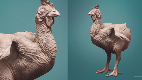 CHICKEN - sculpt/retopology/uvs