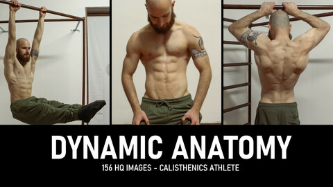 Dynamic Calisthenics - Male Athlete Anatomy Reference