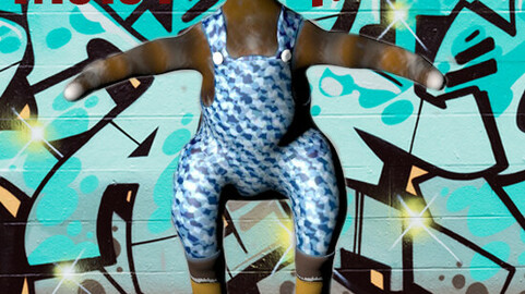 raccoon on the board