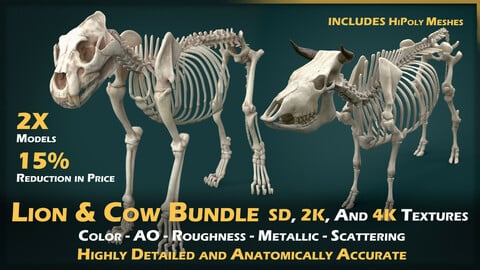 Lion & Cow Skeleton Bundle | Premium Cattle and Lion Bone Anatomy Models | Animal References | 4K PBR Textures | High Poly Mesh Included