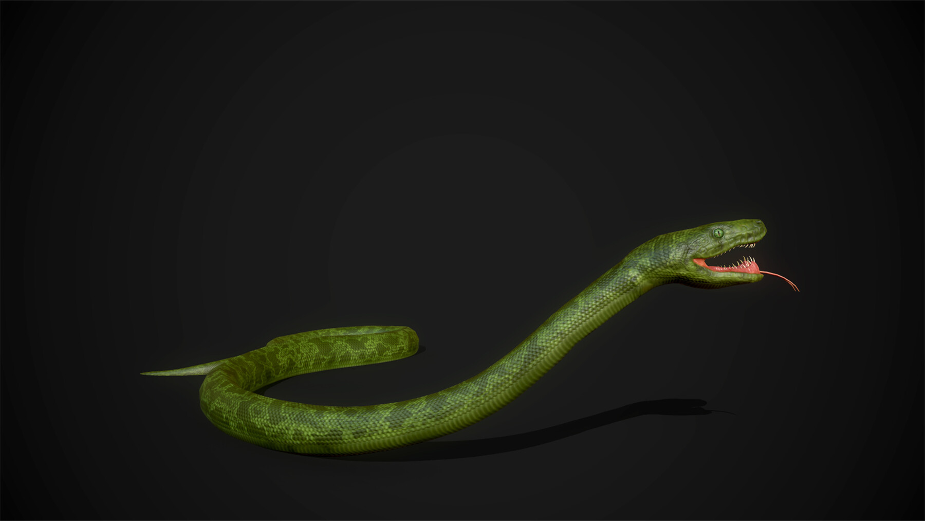 ArtStation - 3D Google Snake (without the snake)