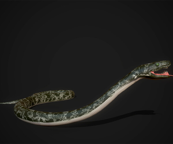 ArtStation - Snakes (Boa) - Game Ready | Game Assets