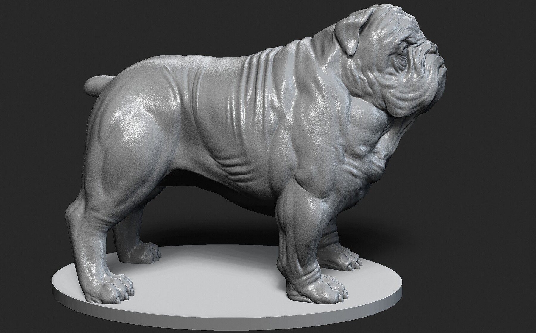 ArtStation - dog | Resources