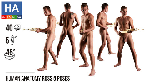 Human Anatomy | Ross 5 Various Poses | 40 Photos