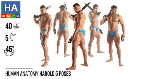 Human Anatomy |  Herold 5 Fighting Poses | 40 Photos