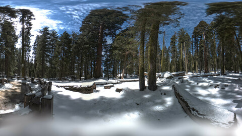 HDRI Day Meadow & Forest 7K