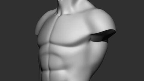 torso 3d print model