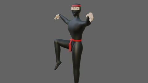 Ninja - Fighter - Kung Fu Low-poly 3D model