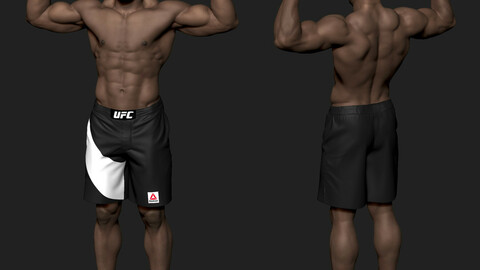 Overeem STL file for 3d printing