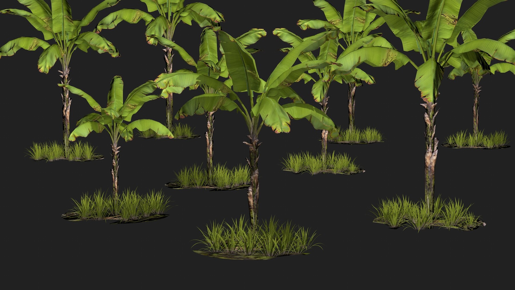 ArtStation - Banana Tree | Resources