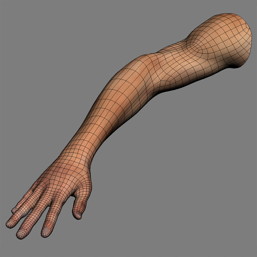 Male arms. Arm Anatomy 3d. Сатурнианская рука. Рука в ФАС.