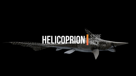Helicoprion