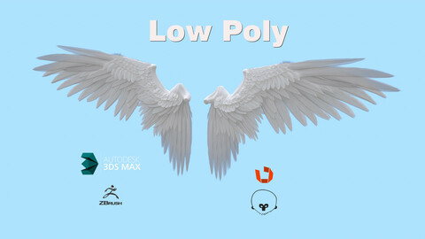 Wings Low Poly