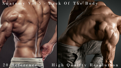 Anatomy Vol 5 - Back Of The Body
