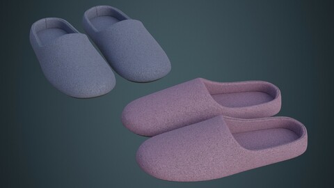 Slipper 1A
