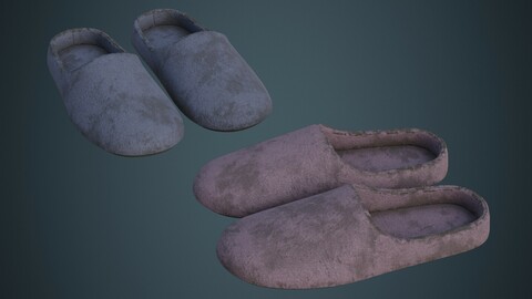 Slipper 1B