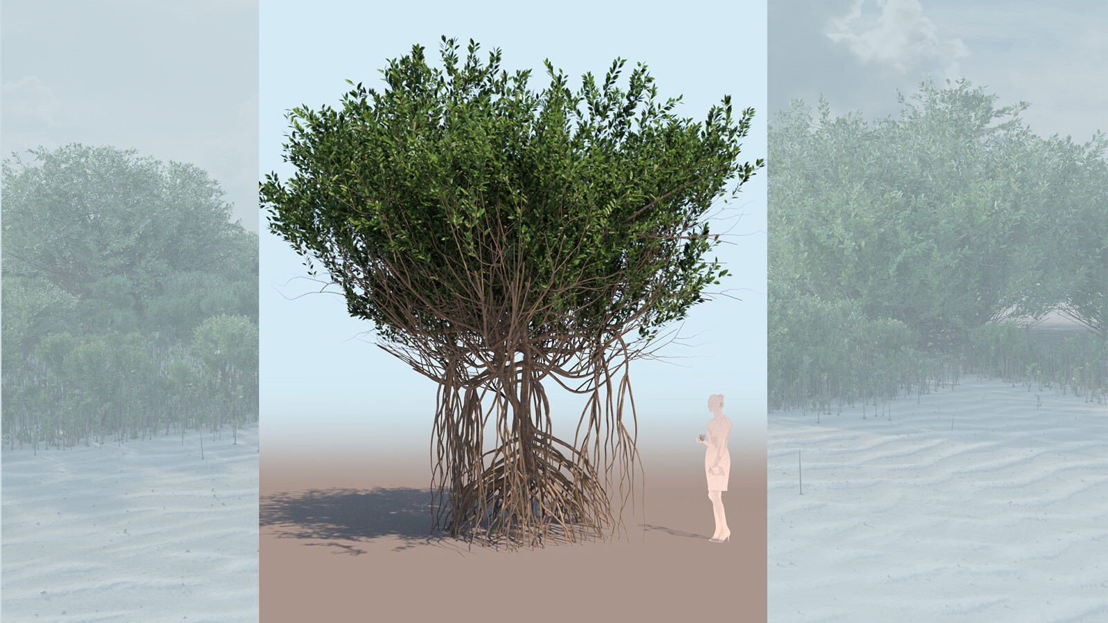 ArtStation - rhizophora mangle mangrove 3D tree a | Resources