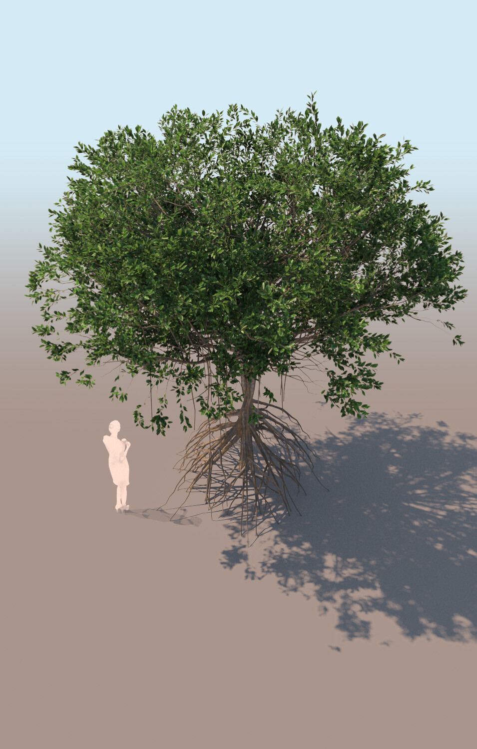 Artstation - Rhizophora Mangle Mangrove 3d Tree B 