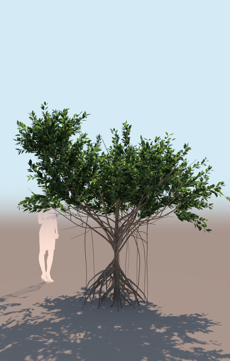 ArtStation - rhizophora mangle mangrove 3D tree c | Resources