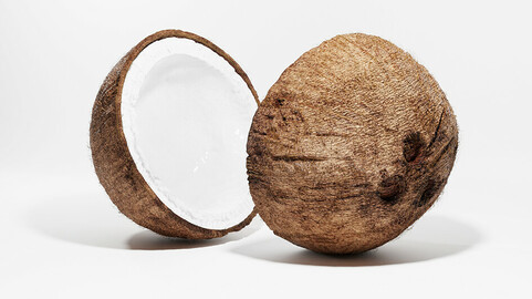 Coconut