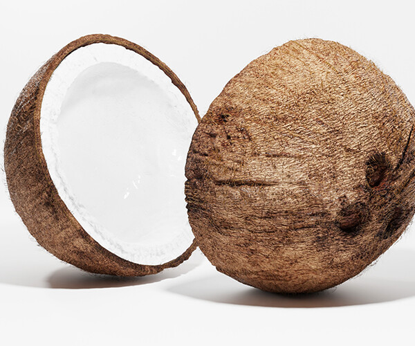 ArtStation Coconut Resources