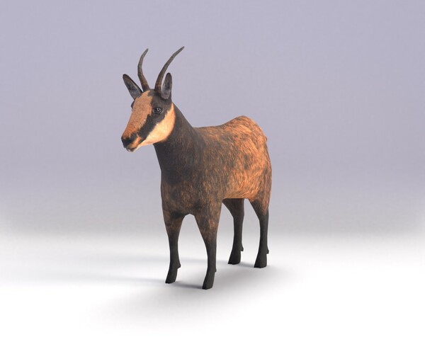 ArtStation - Chamois | Resources