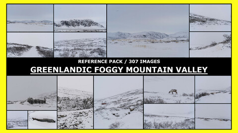 GREENLAND - KANGERLUSSUAQ - FOGGY MOUNTAIN VALLEY / Photo Reference / 307 IMAGES