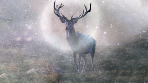 Magic Deer
