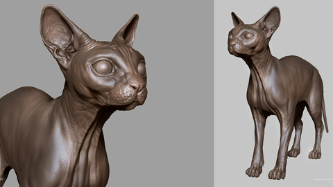 CAT - sculpt/retopology/uvs