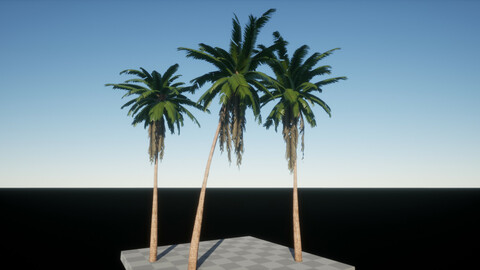 Coconut Palms for Games