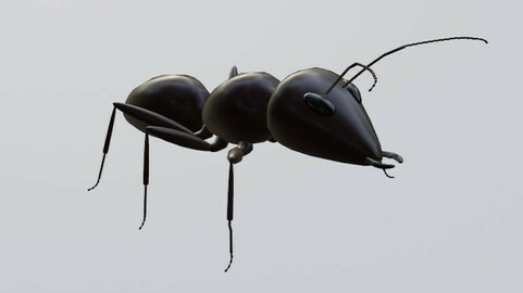 Ant - Formiga Low-poly 3D model