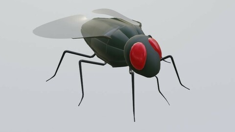 Mosquito - Fly Low-poly 3D model