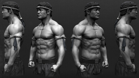 Thaï Boxer Anatomy study - Decimated .ztl